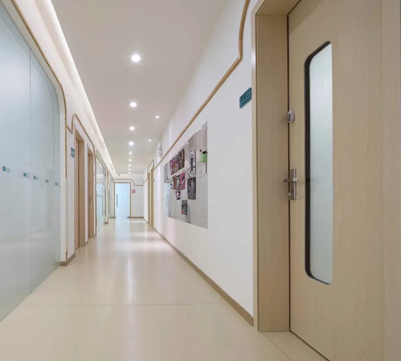 single-leaf-steel-wood-non-fire-door